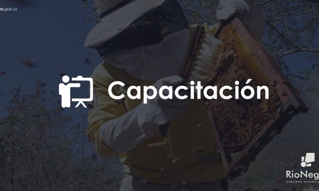 Curso Introducción de Formación a Operarios Apícolas