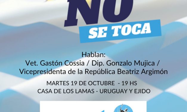 Futuro Nacional y MNR lanzan campaña en defensa de la LUC