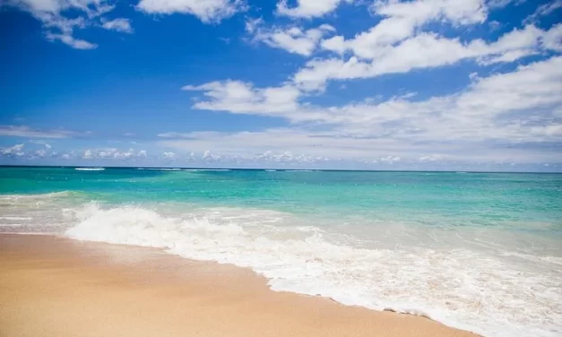 Opus Dei: Actividades de verano 2021-2022