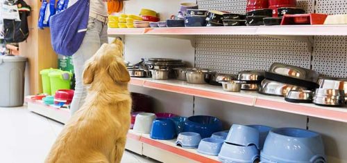 tienda para mascotas