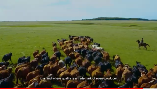 Un Paseo por los Sentidos Made in Uruguay