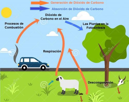 Dióxido de Carbono