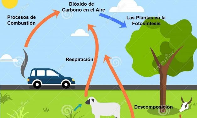 Las emisiones brutas de Uruguay en 2019 fueron de 31,0 millones de toneladas de dióxido de carbono equivalente