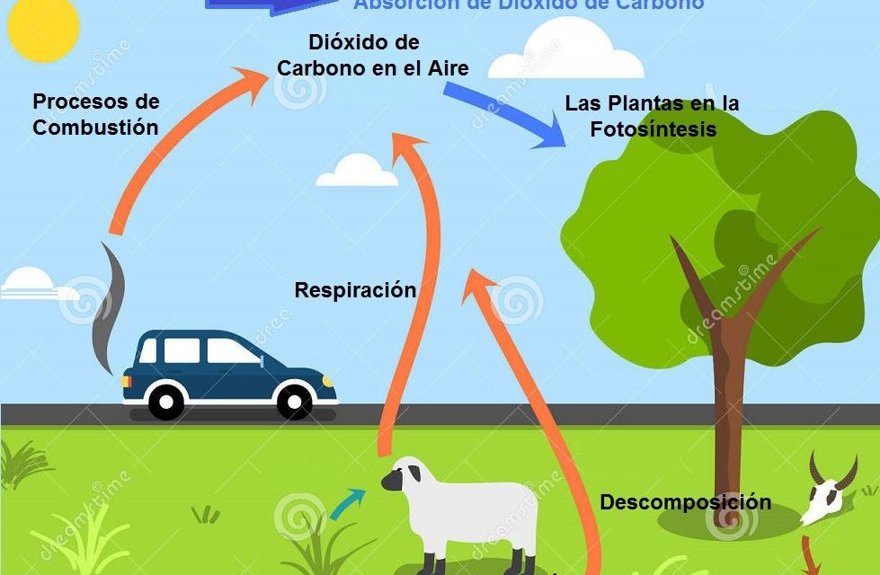 Las emisiones brutas de Uruguay en 2019 fueron de 31,0 millones de toneladas de dióxido de carbono equivalente