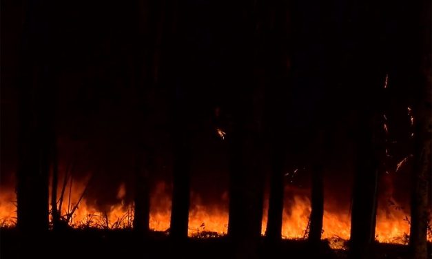 SEGUNDA REUNIÓN DE MESA DE DIÁLOGO POR INCENDIOS FORESTALES