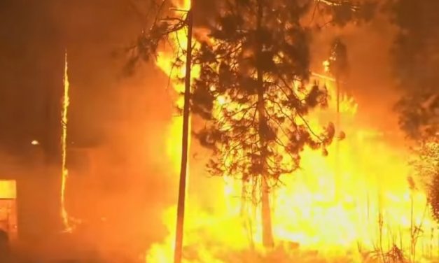 Afectados por Incendios Forestales en el Parlamento