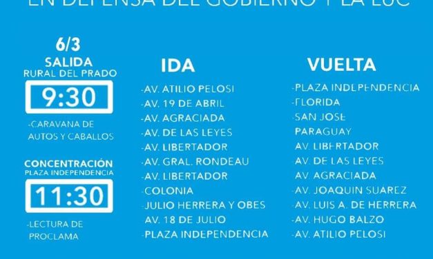 MARCHA CIUDADANA #6M EN DEFENSA DEL GOBIERNO Y LA LUC