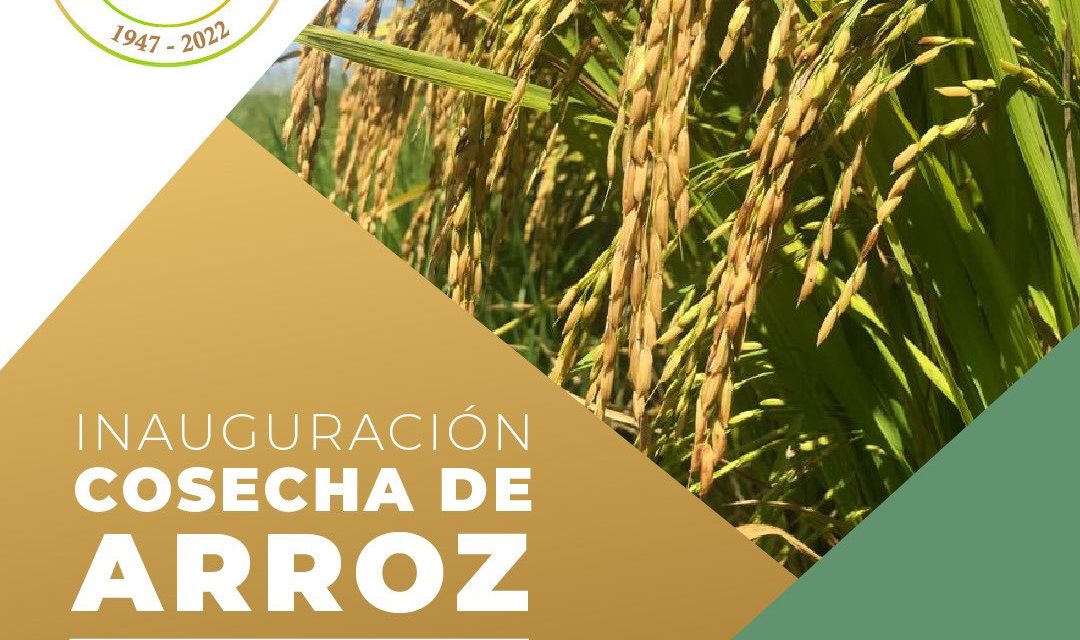 Inauguración Cosecha de Arroz 2022