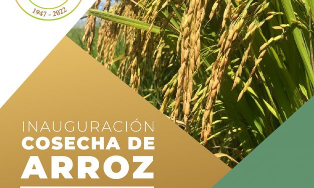 Inauguración Cosecha de Arroz 2022