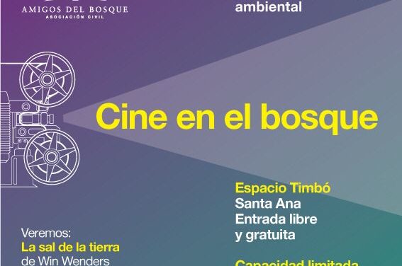 Cine en el Bosque
