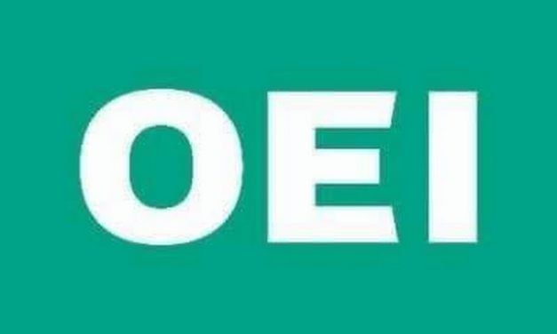 Nace el Instituto Iberoamericano de Formación de la OEI en respuesta a una demanda educativa más flexible y digital