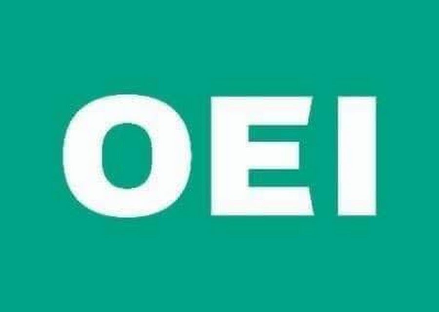 Nace el Instituto Iberoamericano de Formación de la OEI en respuesta a una demanda educativa más flexible y digital