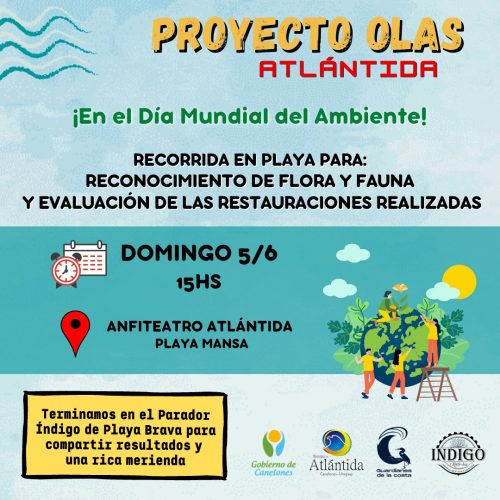 Proyecto Olas