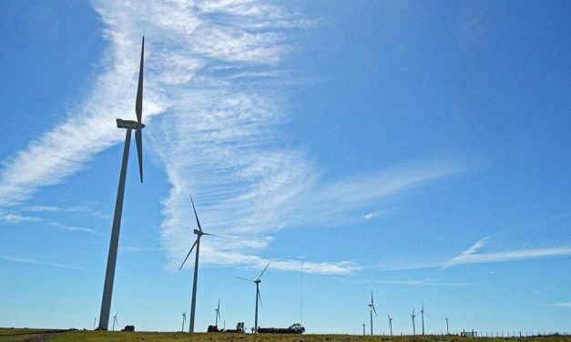 Día Mundial del Ambiente: MIEM continúa incorporando la sostenibilidad ambiental en todas sus dimensiones