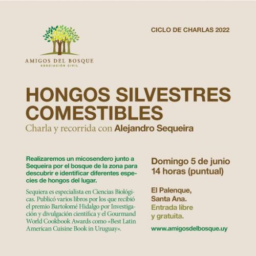 Hongos Silvestres Comestibles