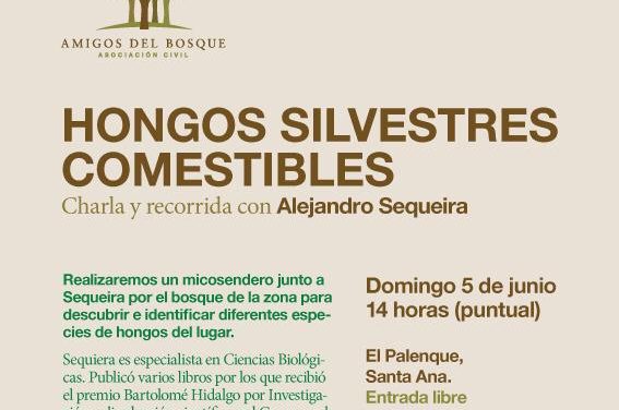 Amigos del Bosque: Funga silvestre de la mano de Alejandro Sequeira