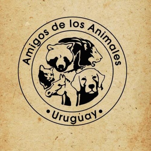 Amigos de los Animales
