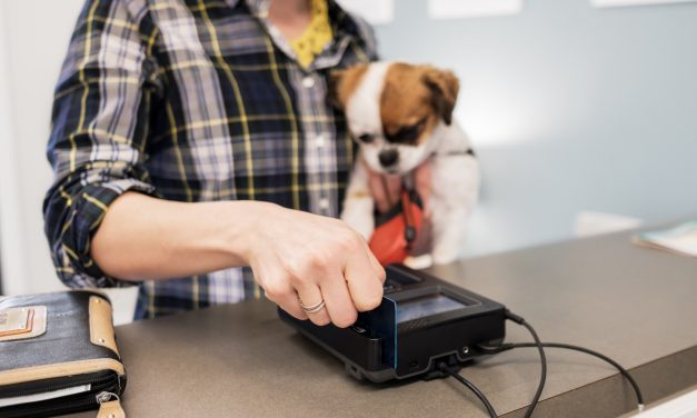 Las compras en el segmento de mascotas en Uruguay creció un 10% en un año, según datos de Visa