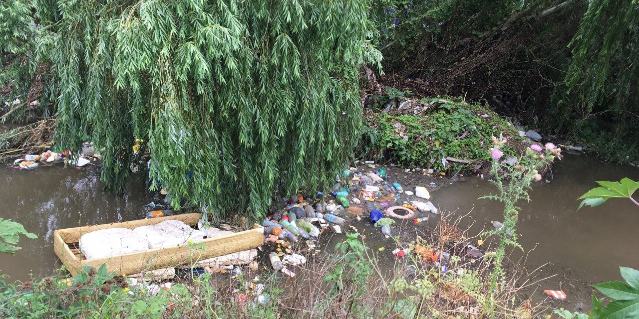Proyecto de Ley desestimula la utilización de plásticos y prohíbe a los plásticos de un solo uso