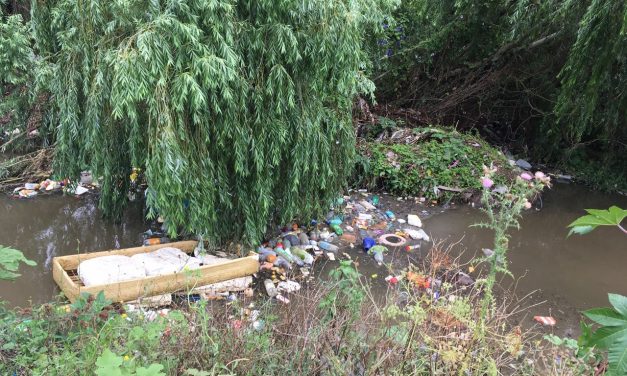 Proyecto de Ley desestimula la utilización de plásticos y prohíbe a los plásticos de un solo uso