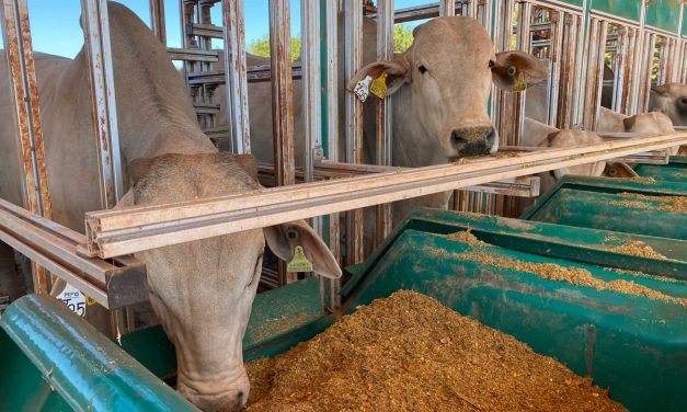 MARFRIG INVIERTE EN PROYECTO DE REDUCCIÓN DE EMISIONES DE METANO