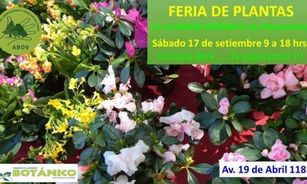 Feria de Plantas