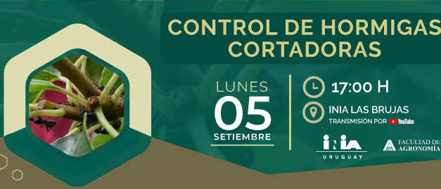 INIA y Facultad de Agronomía: Jornada de divulgación sobre «control de hormigas cortadoras»