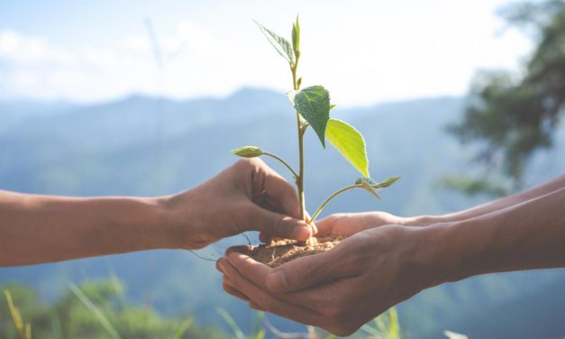 Charla Cristianismo y Ecología