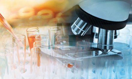 Más de 400 científicos darán a conocer sus investigaciones en la 3ª Edición de la Noche Iberoamericana de los Investigadores