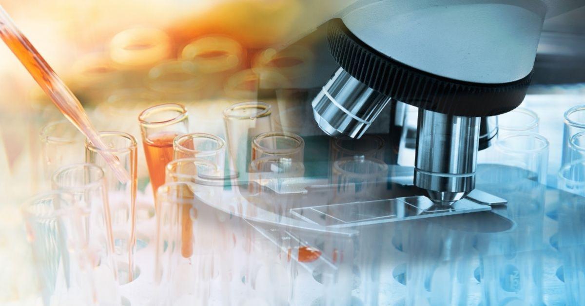 Más de 400 científicos darán a conocer sus investigaciones en la 3ª Edición de la Noche Iberoamericana de los Investigadores