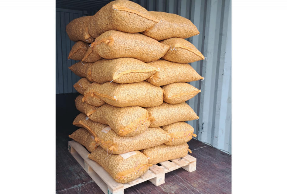 Maní arachán llega a Chile y ¿conquistará España?