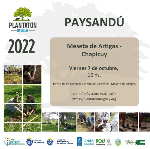 Plantatón en Paysandú