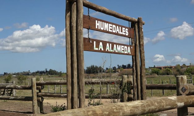 San Carlos inauguró obras de ingreso a la Alameda