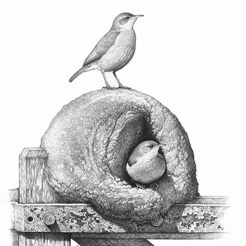 Sociedad Criolla de Rivera