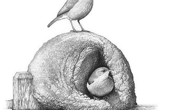 Sociedad Criolla de Rivera celebra 67 aniversario: ¿qué lindas actividades impulsan para el sábado 15 y domingo 16?