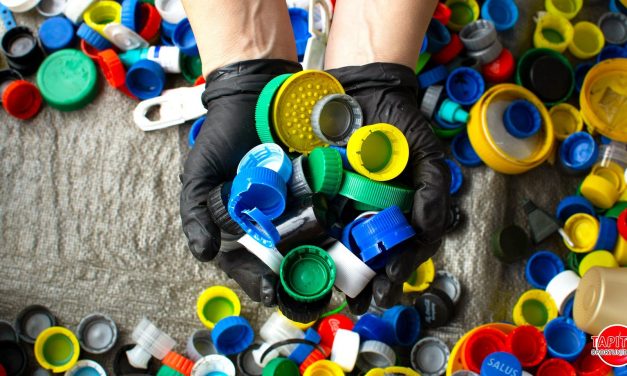 Jornada de Clasificación en Depósito Sayago: Tapitas Oportunidades