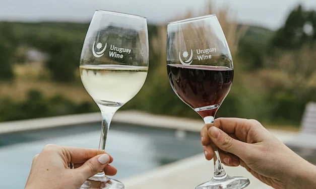 Degustación de vinos «Uruguay Happy Hour» en Nueva York: ¿Cuál es la idea?