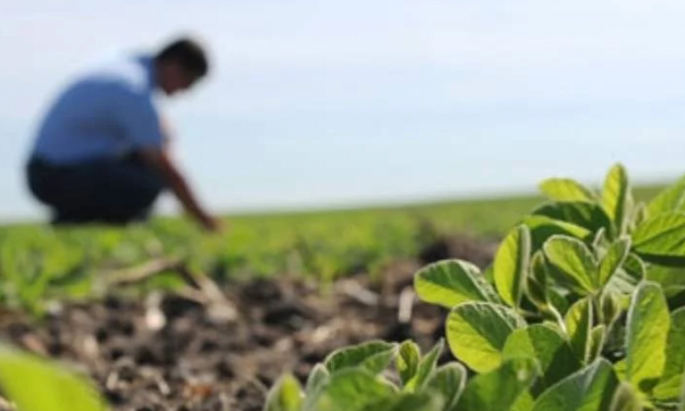 Llamado a Ingeniero Agrónomo en el MGAP