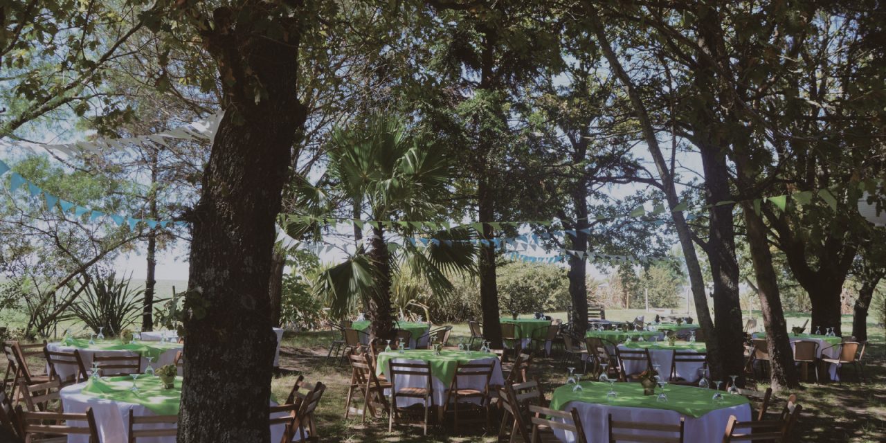 Día Mundial del Enoturismo: Propuesta de buen gusto de la Bodega Familia Moizo