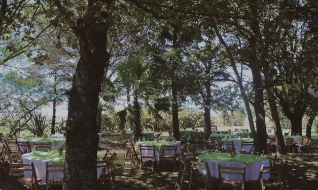 Día Mundial del Enoturismo: Propuesta de buen gusto de la Bodega Familia Moizo