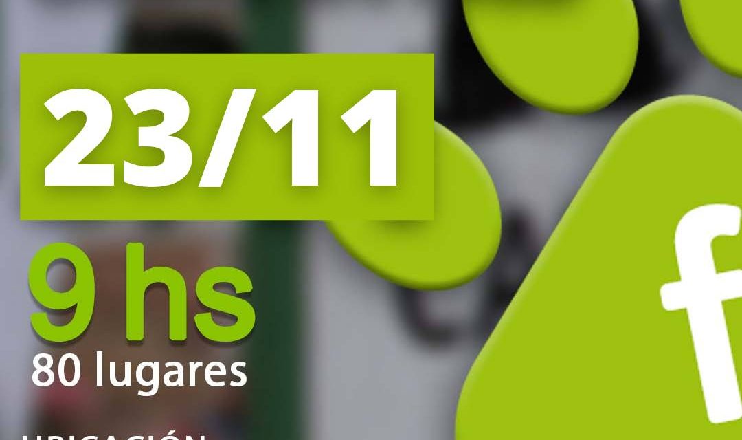 Castraciones gratuitas en el Municipio F