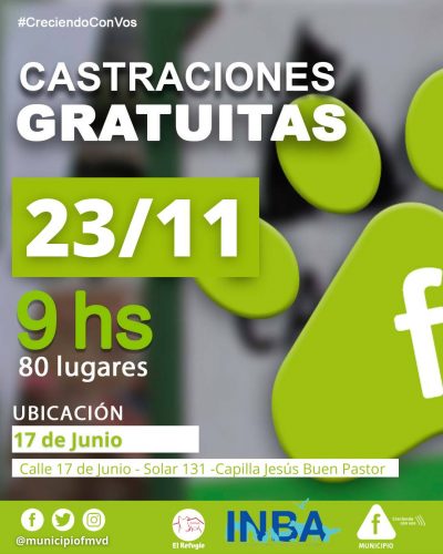 Castraciones Municipio F