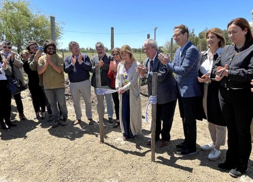 invernáculo en San José