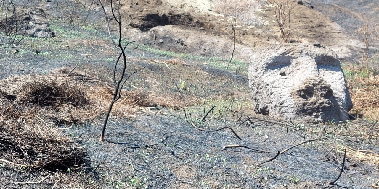 UNESCO financia diagnóstico y plan de gestión para afrontar daños del incendio en el Parque Nacional Rapa Nui