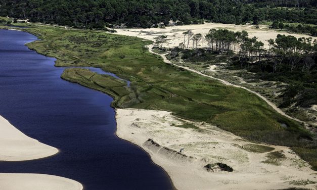 Subsecretario Amarilla expuso en Parlamento sobre proyecto que establece delitos ambientales en el Código Penal