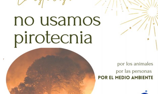 Campaña insta a festejar Sin Pirotecnia