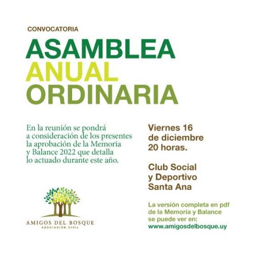 asamblea anual
