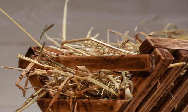 Un 16 de diciembre de 2022: ¿Qué compartieron en las redes sociales, Radío, O’Connors, Baudean, y Vega?