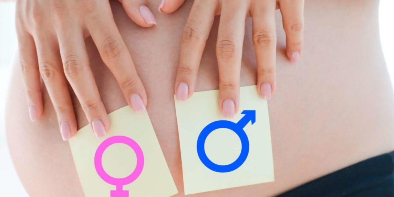 Y el bebé es… La genética permite conocer el sexo de un o una bebé a las 9 semanas de embarazo