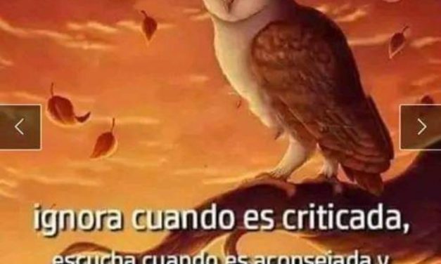 Un 10 de diciembre de 2022: ¿Qué compartieron en las redes sociales, Alzamendi, Andrade, Radío, y Rodríguez?